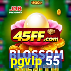 pgvip 55
